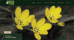 Desktop Screenshot of clanwilliamwildflowershow.co.za