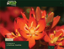 Tablet Screenshot of clanwilliamwildflowershow.co.za